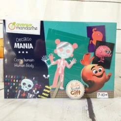 Boîte Créative Décalcomanie - Corps Humain